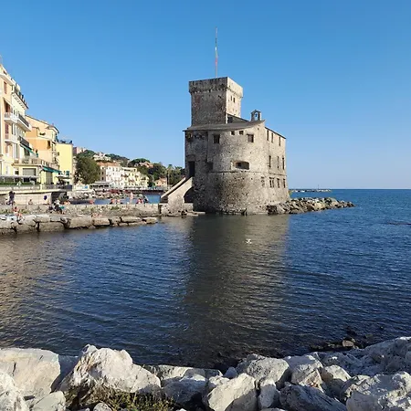 Apartment Sweet Lucy